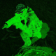 paoloanzn avatar